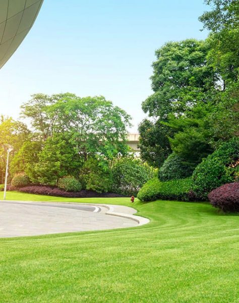 Realizzazione Giardini Progettazione Manutenzione Località Portararo 84040 Casal Velino (Salerno) Pino Garden&Wood di Pasquale Pino [www.pinogardenwood.it]