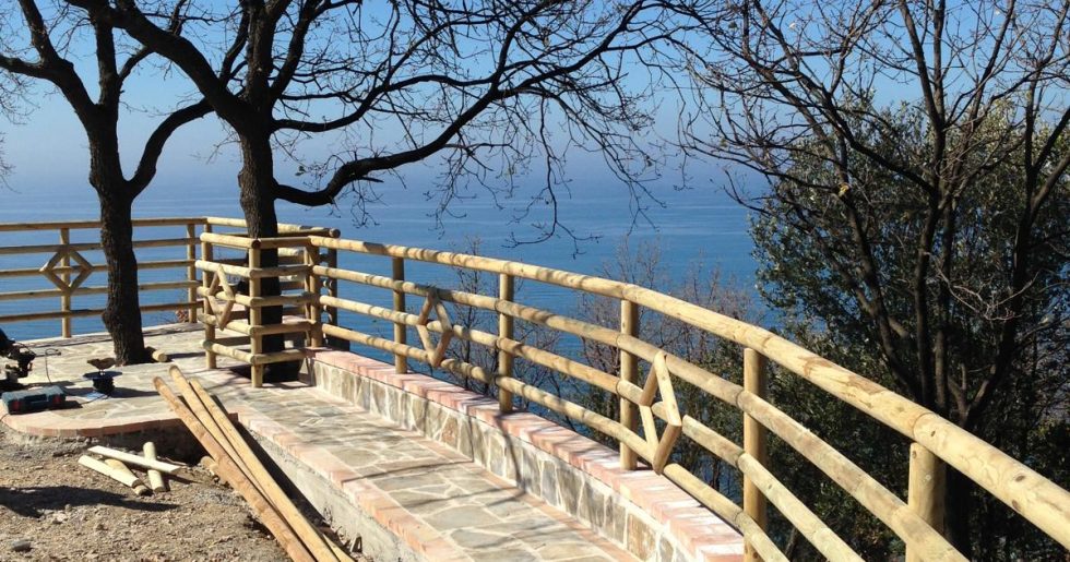 Chirurgia piante secolari Casal Velino Salerno Pino Garden&Wood di Pasquale Pino