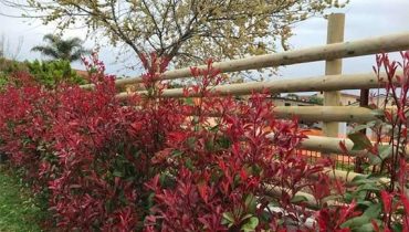 Progetto di costruzione rurale e paesaggistica nel Cilento